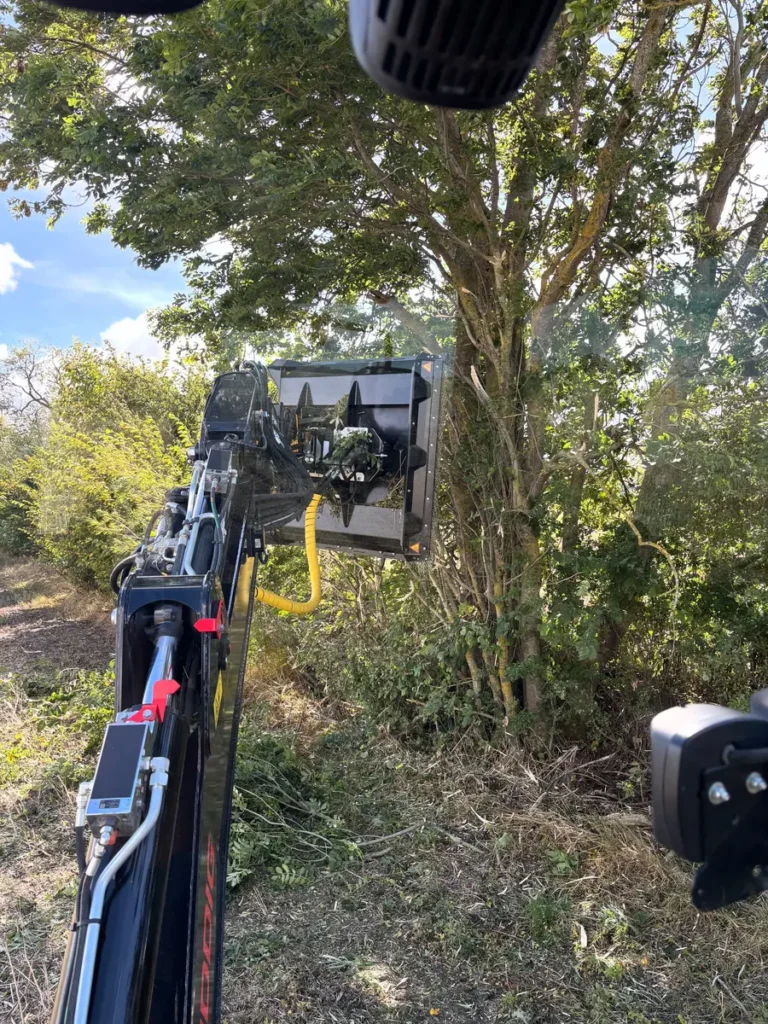 Niklas_Huddig_Mulcher_01 - econtech GmbH Mulcher-Einsatz mit präziser Arbeitsweise
