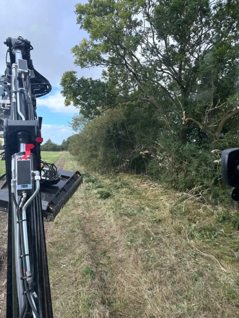 Niklas_Huddig_Mulcher_04 - econtech GmbH Großflächige Perspektive der Mulching-Arbeiten